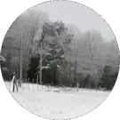 Toni S. Avatar