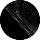 Elisabeth S. Avatar